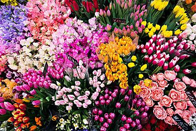 夏日游戏节：治愈冒险经营模拟《漫游驿站》首曝预告